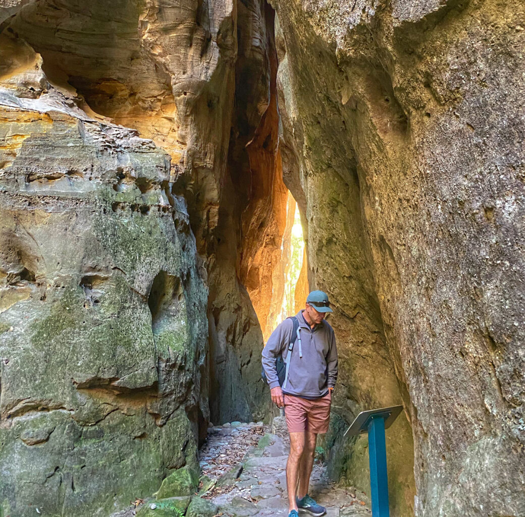 The Amphitheatre's dramatic cliff walls and natural acoustics at Carnarvon Gorge, QLD