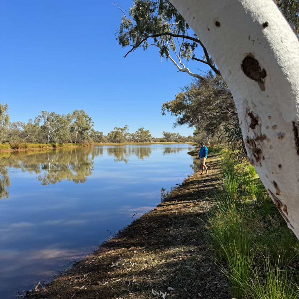 Scenic view of Bilyuin Pool campsite surrounded by trees in Western Australia