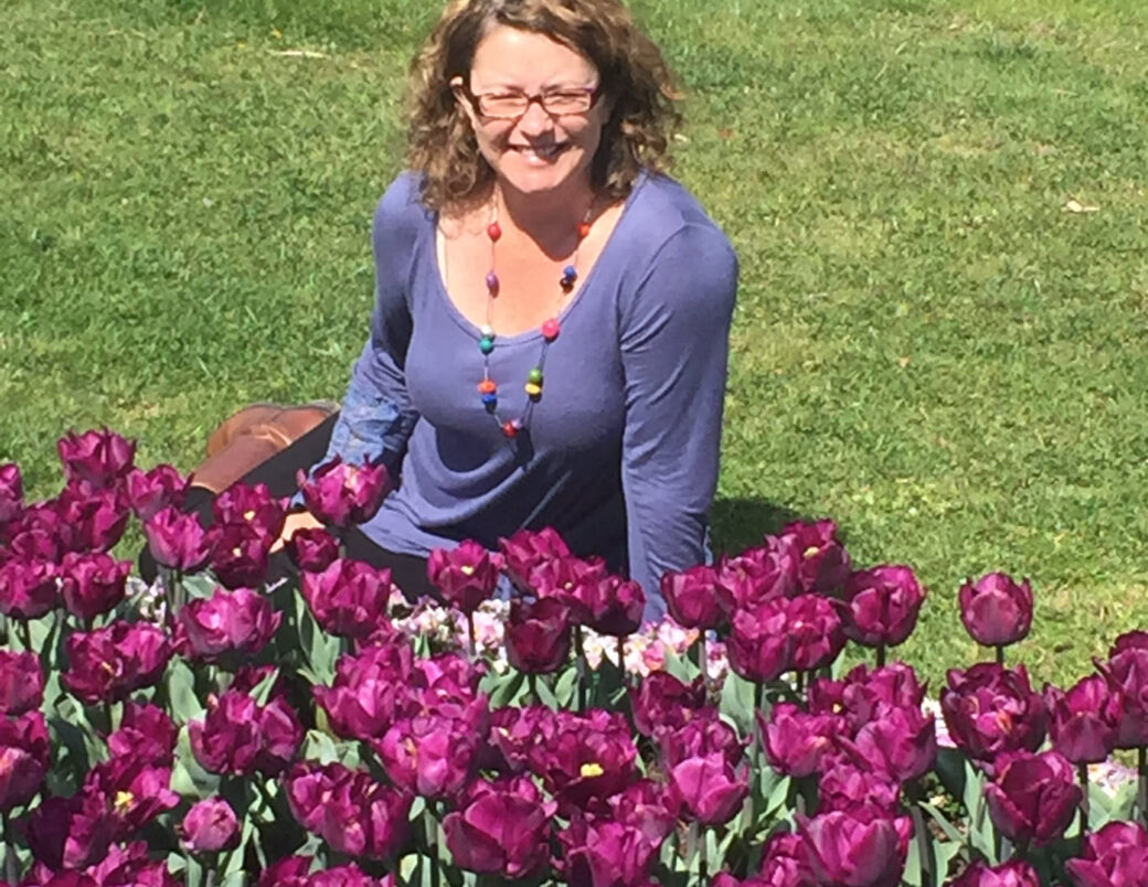 Colorful tulips blooming at Bowral Tulip Time Festival in the Southern Highlands