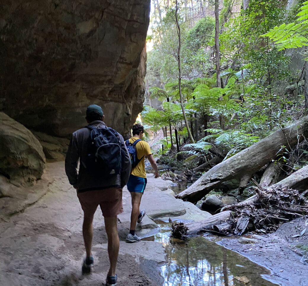 Hikers exploring the towering rock formations along Wards Canyon Track, Carnarvon Gorge