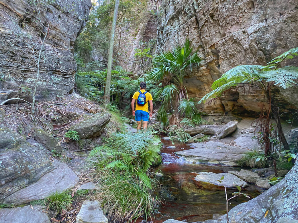 Narrow sandstone walls of Wards Canyon Track at Carnarvon Gorge, Queensland