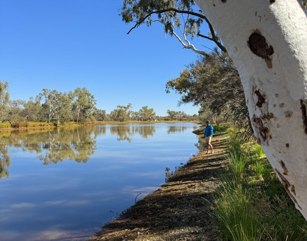 Bilyuin Pool freedom camping area in Western Australia with trees and water views