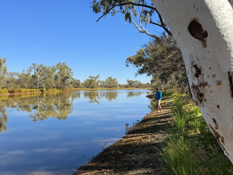 Bilyuin Pool freedom camp, Western Australia