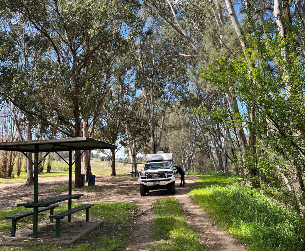 Darbys Falls River Reserve pet-friendly camping spot with grassy area and river