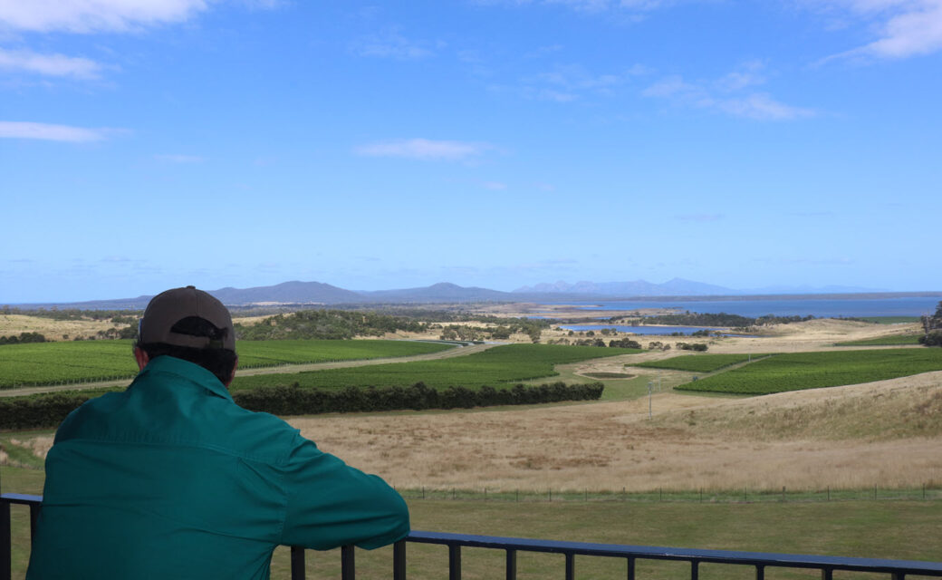 Devils Corner vineyard cellar door overlooking vineyard rows in Tasmania wine country