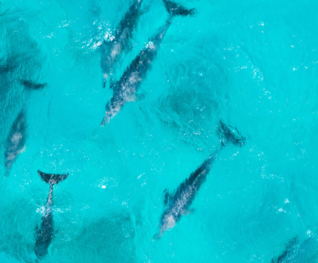 Shelter Bay, Steep Point, WA