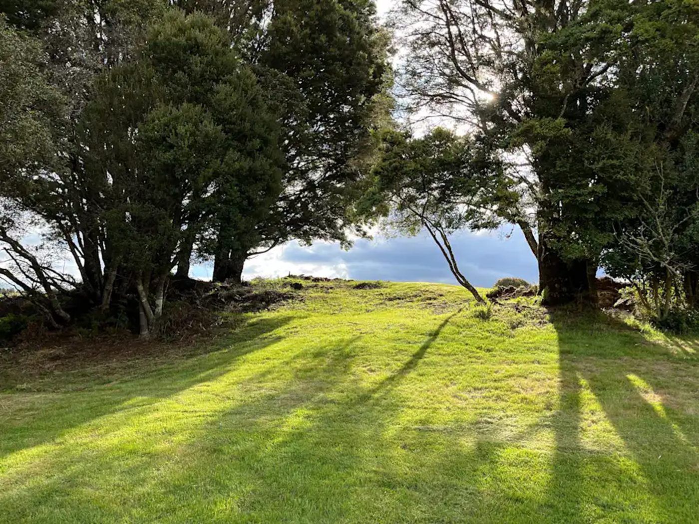 Campervan in open paddock at Waratah Alpaca and Pepperberry Farm, Waratah Tasmania