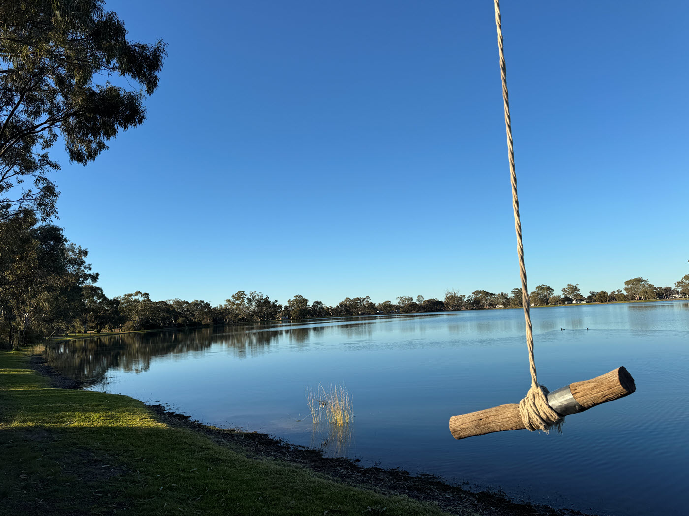 Rope swing over a calm lake, scenic bush camping destination