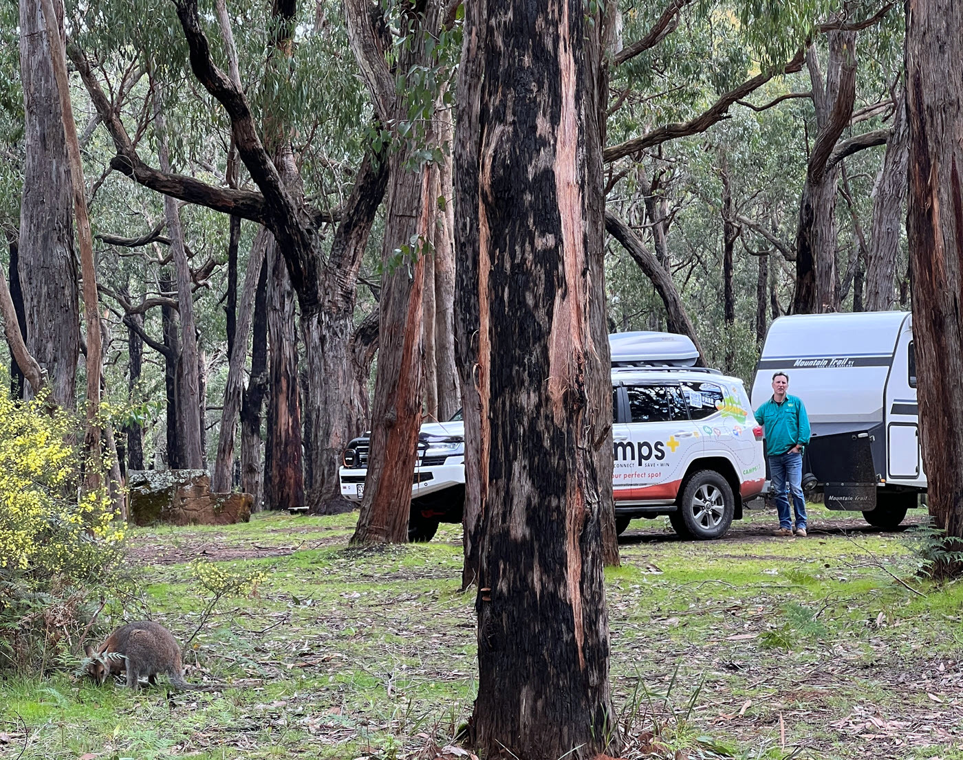 Sawpit Campground VIC.jpg