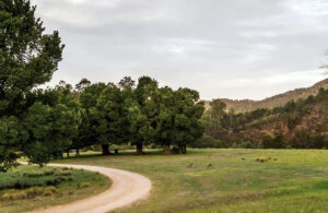 Angusvale Camping Area Mitchell River NP Victoria Free Camp