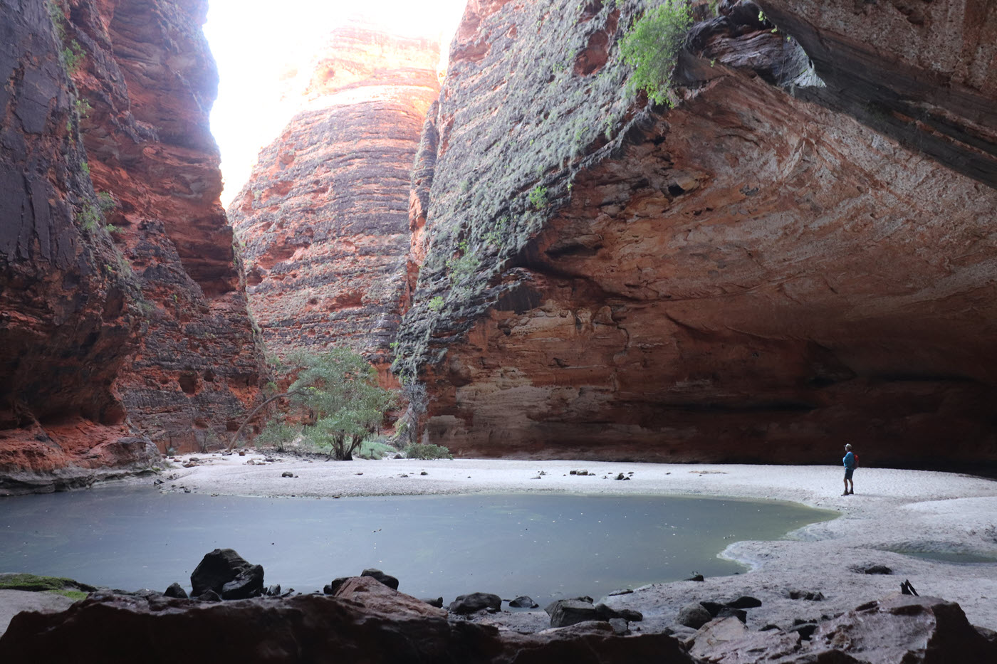 Cathedral Gorge Lookout and Domes Purnululu National Park