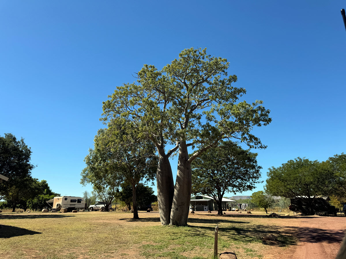 Farm stay camping in Western Australia, Personally Checked by Camps Australia Wide