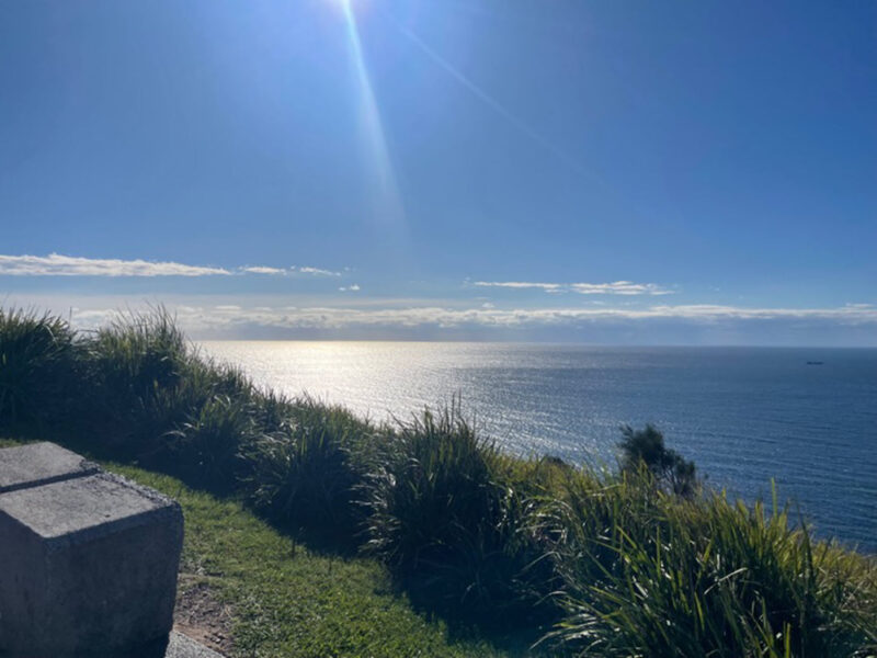 Coledale camping reserve out of Sydney