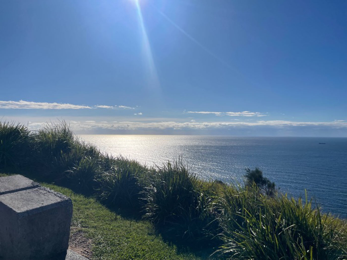 Coledale camping reserve out of Sydney