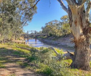 The Darling River Bank View from the Murray Victory Caravan Park