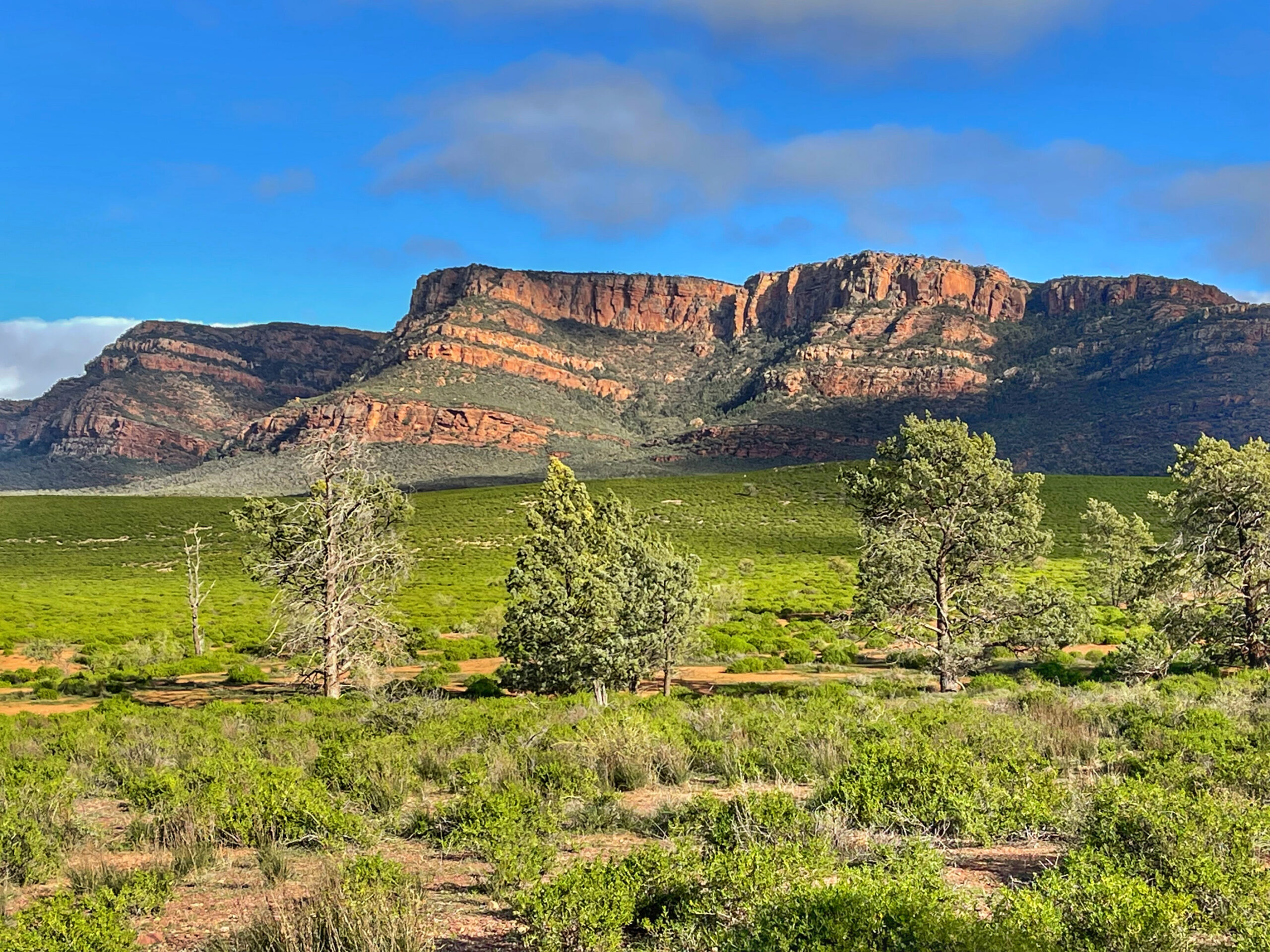 The Flinders Ranges escarpment seen from Rawnsley Park Station, South Australia