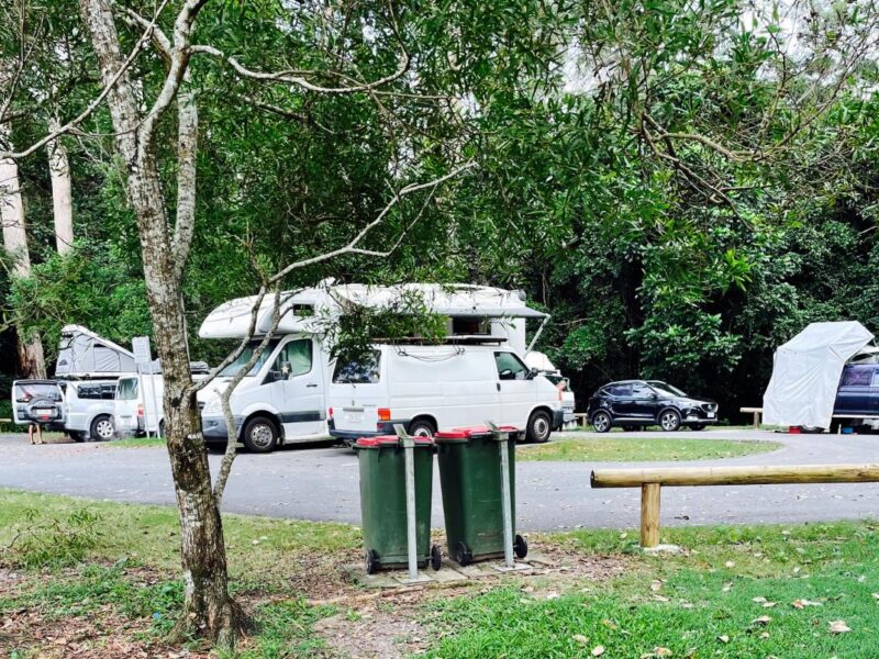 Campers parked among trees at Jowarra Rest Area, camping near the Sunshine Coast, Queensland