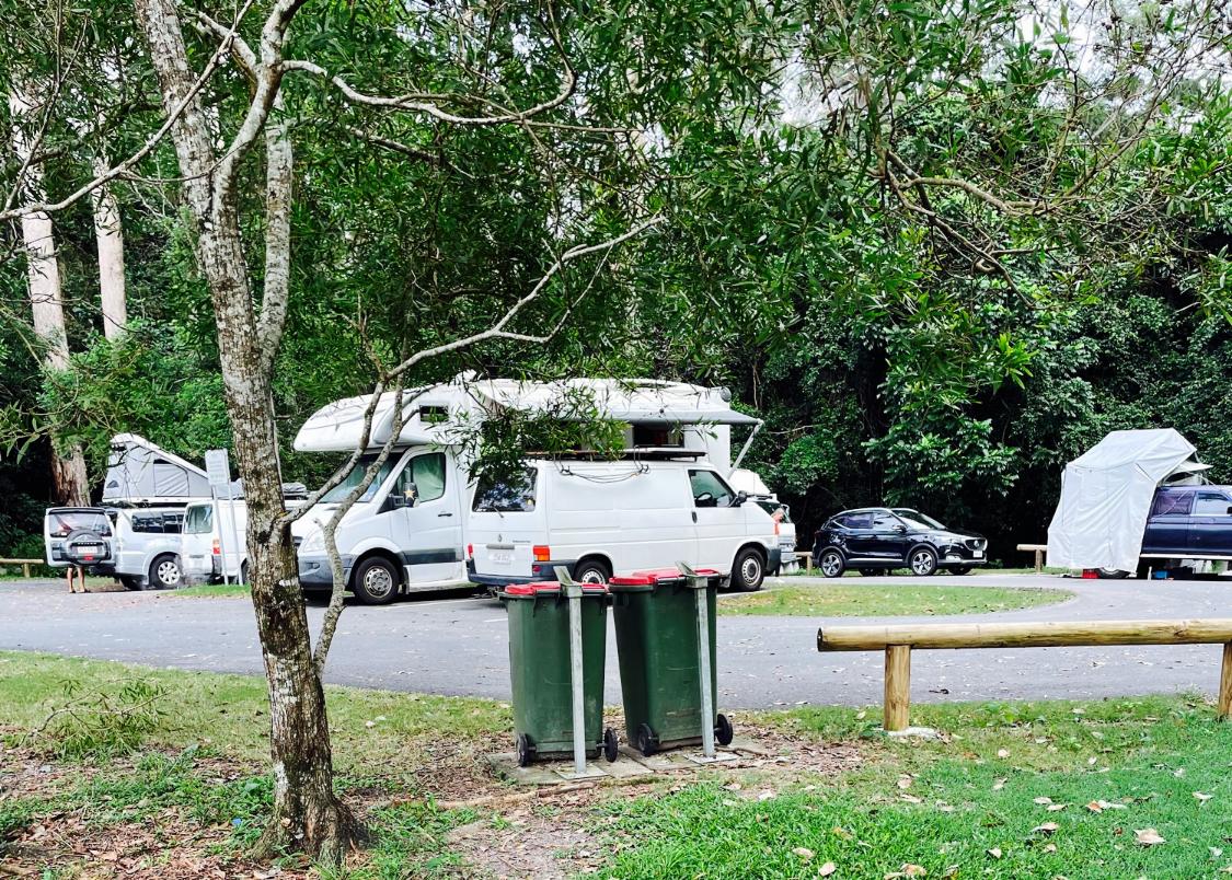 Campers parked among trees at Jowarra Rest Area, camping near the Sunshine Coast, Queensland