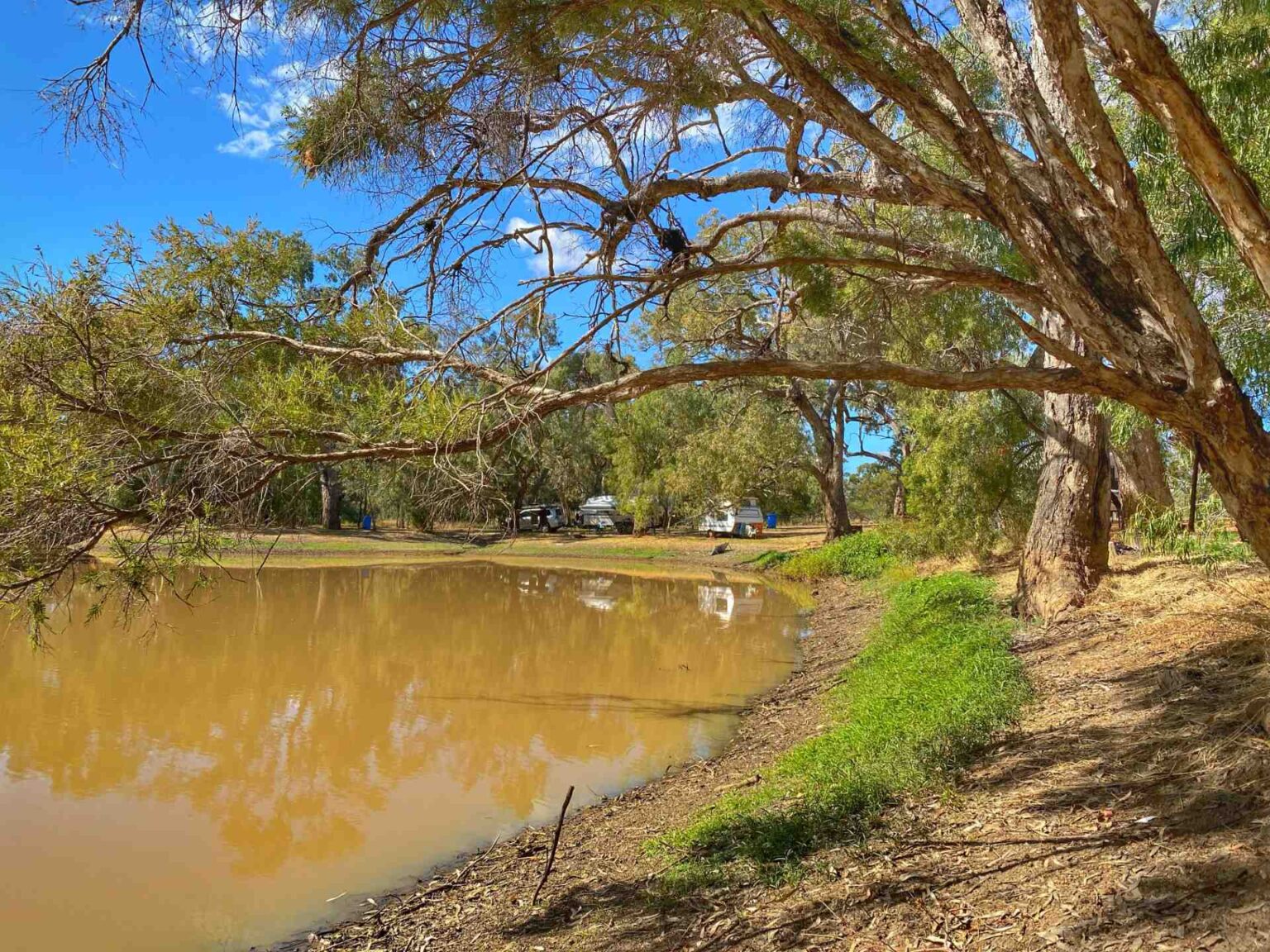Aramac, Jericho & Muttaburra Freedom Parks Now Free | CAMPS